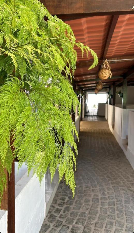 Pousada Villa Mar Porto Pôrto das Galinhas 外观 照片